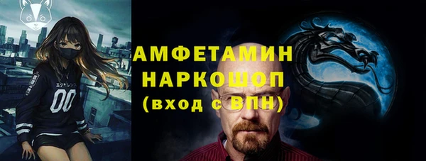 гидра Осинники