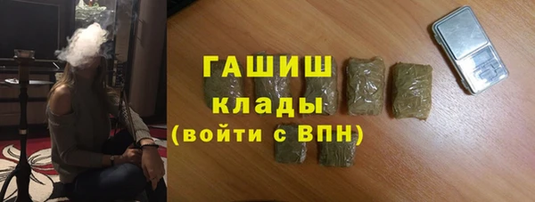 гидра Осинники
