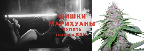 гидра Осинники