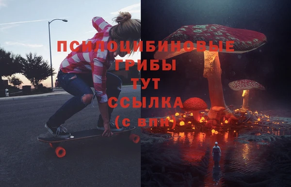 гидра Осинники