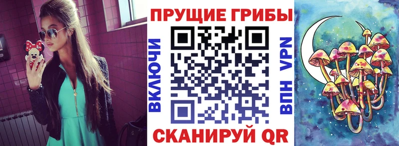Галлюциногенные грибы ЛСД  наркотики  Корсаков 