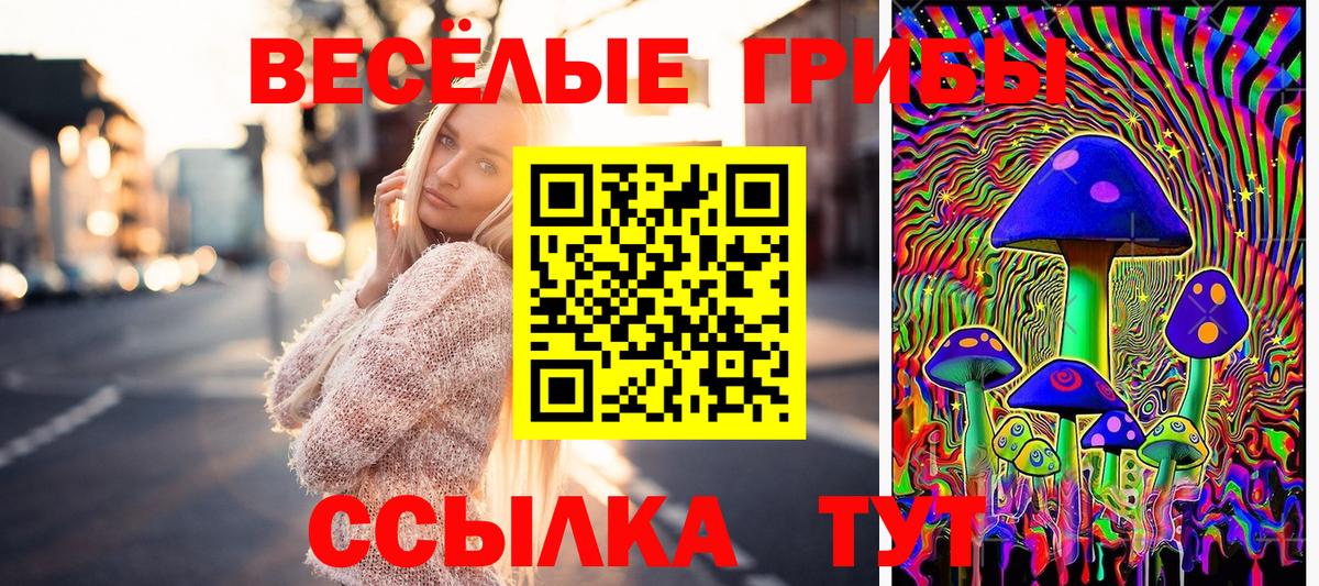 Галлюциногенные грибы Psilocybe  Галлюциногенные грибы прущие грибы  купить наркотики цена  Корсаков 