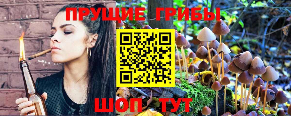 Галлюциногенные грибы Magic Shrooms  купить закладку  Галлюциногенные грибы мицелий  Корсаков  Вход с VPN 