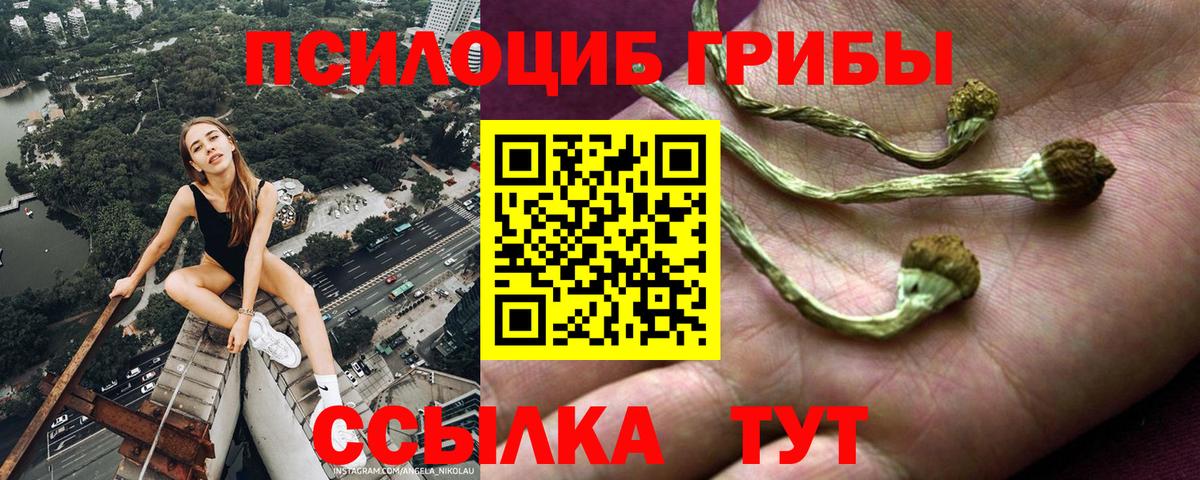 Галлюциногенные грибы Cubensis Корсаков
